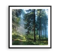 Poster 60x60cm La foresta l'alba il sole Stampe Immagini Quadri Moderni Murale