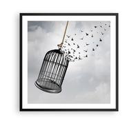 Poster 60x60cm Libertà gabbia uccelli Stampe Immagini Quadri Moderni Murale