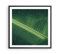 Poster 60x60cm Macro Foglia Gocce Stampe Immagini Quadri Moderni Murale
