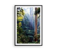 Poster 61x91cm Alba alberi foresta Stampe Immagini Quadri Moderni Murale