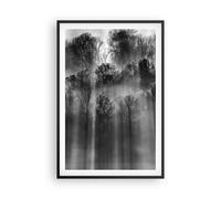 Poster 61x91cm Alberi Dentro Nebbia Stampe Immagini Quadri Moderni Murale