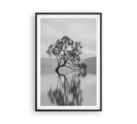 Poster 61x91cm Albero Simmetria Lago Stampe Immagini Quadri Moderni Murale