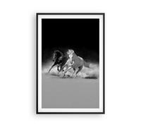 Poster 61x91cm Andaluso Cavalli Galoppo Stampe Immagini Quadri Moderni Murale
