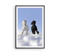 Poster 61x91cm Animali bellezza concorrenza Stampe Immagini Quadri Murale