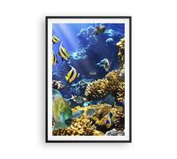 Poster 61x91cm Barriera corallina oceano granchio pesce Stampe Quadri Murale