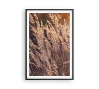 Poster 61x91cm Boho Spighe Di Grano Campo Stampe Immagini Quadri Moderni Murale