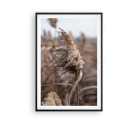 Poster 61x91cm Boho Spighe Di Grano Erba Stampe Immagini Quadri Moderni Murale