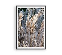 Poster 61x91cm Canna Spighe Di Grano Boho Stampe Immagini Quadri Moderni Murale