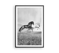 Poster 61x91cm Cavalli Animali galoppo prato Stampe Immagini Quadri Murale
