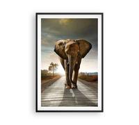 Poster 61x91cm Elefante Strada Campagna Stampe Immagini Quadri Moderni Murale