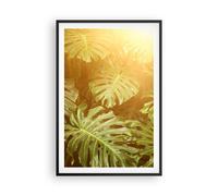 Poster 61x91cm Foglie Monstera Luce Stampe Immagini Quadri Moderni Murale