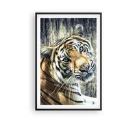 Poster 61x91cm India pietra tigre selvaggio Stampe Immagini Quadri Murale