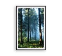 Poster 61x91cm La foresta l'alba il sole Stampe Immagini Quadri Moderni Murale