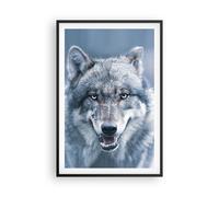 Poster 61x91cm Lupo predatore natura selvaggia Stampe Immagini Quadri Murale