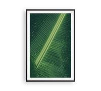 Poster 61x91cm Macro Foglia Gocce Stampe Immagini Quadri Moderni Murale