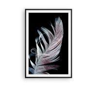Poster 61x91cm Piuma I Colori Delicatezza Stampe Immagini Quadri Moderni Murale