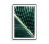 Poster 61x91cm Verde Foglia Tropicale Stampe Immagini Quadri Moderni Murale