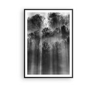 Poster 70x100cm Alberi Dentro Nebbia Stampe Immagini Quadri Moderni Murale