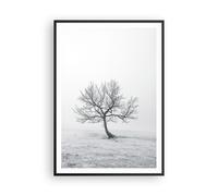 Poster 70x100cm albero campo natura Stampe Immagini Quadri Moderni Murale