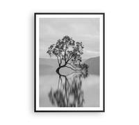 Poster 70x100cm Albero Simmetria Lago Stampe Immagini Quadri Moderni Murale
