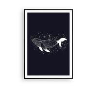 Poster 70x100cm Balena Bianco E Nero Grafica Stampe Immagini Quadri Murale