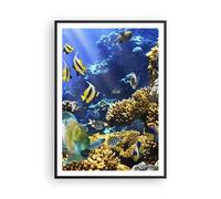 Poster 70x100cm Barriera corallina oceano granchio pesce Stampe Quadri Murale