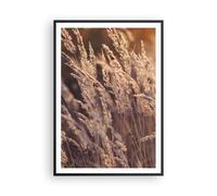 Poster 70x100cm Boho Spighe Di Grano Campo Stampe Immagini Quadri Moderni Murale