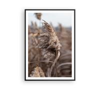 Poster 70x100cm Boho Spighe Di Grano Erba Stampe Immagini Quadri Moderni Murale