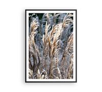 Poster 70x100cm Canna Spighe Di Grano Boho Stampe Immagini Quadri Moderni Murale