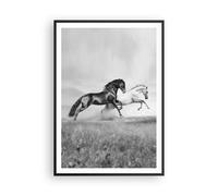 Poster 70x100cm Cavalli Animali galoppo prato Stampe Immagini Quadri Murale