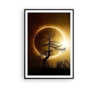 Poster 70x100cm Eclipse il sole l'albero Stampe Immagini Quadri Moderni Murale