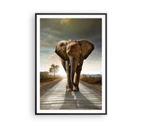 Poster 70x100cm Elefante Strada Campagna Stampe Immagini Quadri Moderni Murale