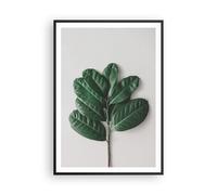 Poster 70x100cm Foglie piante botanica Stampe Immagini Quadri Moderni Murale
