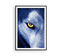 Poster 70x100cm Guarda il lupo gli occhi Stampe Immagini Quadri Moderni Murale