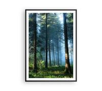 Poster 70x100cm La foresta l'alba il sole Stampe Immagini Quadri Moderni Murale
