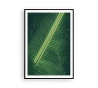 Poster 70x100cm Macro Foglia Gocce Stampe Immagini Quadri Moderni Murale