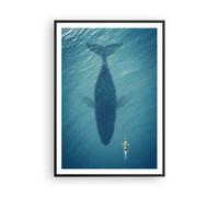 Poster 70x100cm Megattera Oceano Balena Stampe Immagini Quadri Moderni Murale