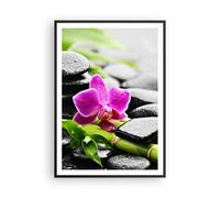 Poster 70x100cm Pianta pietre bambù spa Stampe Immagini Quadri Moderni Murale