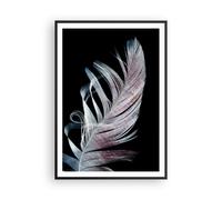 Poster 70x100cm Piuma I Colori Delicatezza Stampe Immagini Quadri Moderni Murale
