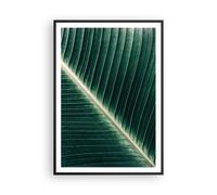 Poster 70x100cm Verde Foglia Tropicale Stampe Immagini Quadri Moderni Murale