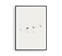 Poster 70x100cm Volo uccello airone Stampe Immagini Quadri Moderni Murale