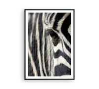 Poster 70x100cm Zebra strisce fauna selvatica safari Stampe Quadri Murale