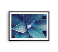 Poster 70x50cm Agave blu fiore Stampe Immagini Quadri Moderni Murale