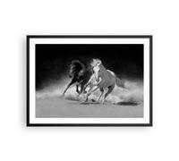 Poster 70x50cm Andaluso Cavalli Galoppo Stampe Immagini Quadri Moderni Murale