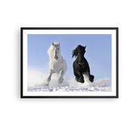 Poster 70x50cm Animali bellezza concorrenza Stampe Immagini Quadri Moderni