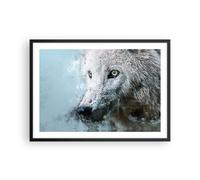 Poster 70x50cm Bianco il lupo foto Stampe Immagini Quadri Moderni Murale