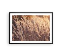 Poster 70x50cm Boho Spighe Di Grano Campo Stampe Immagini Quadri Moderni Murale