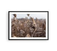 Poster 70x50cm Boho Spighe Di Grano Erba Stampe Immagini Quadri Moderni Murale