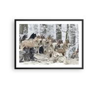 Poster 70x50cm Branco lupi inverno Stampe Immagini Quadri Moderni Murale