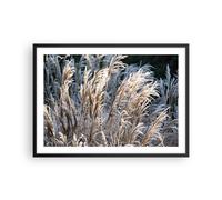 Poster 70x50cm Canna Spighe Di Grano Boho Stampe Immagini Quadri Moderni Murale